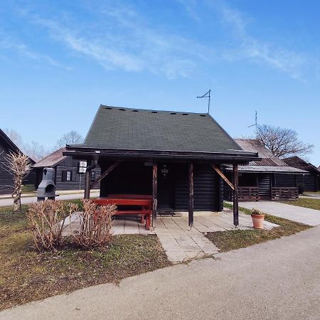 Hiska Catez Villa Brežice Exterior foto